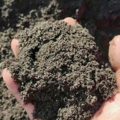 洋豐小麥有機肥洋豐小麥有機肥供應_洋豐小麥有機肥價格