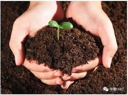 生物有機肥的作用和生產技術
