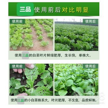 【生產有機肥生物有機肥質量可靠值得信賴廠家價格優惠】-