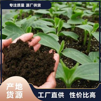 萊西萊州萊陽發酵羊糞基地_玉溪產品資訊