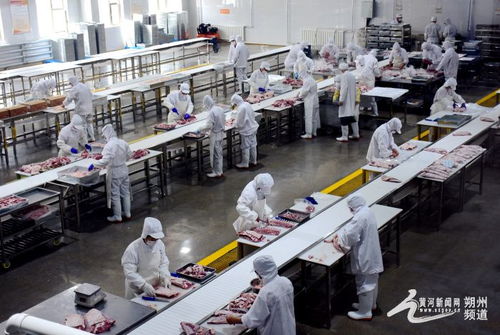 朔州市平魯區又一現代化畜牧深加工企業投產 山西魯豐肉業22日舉行投產儀式